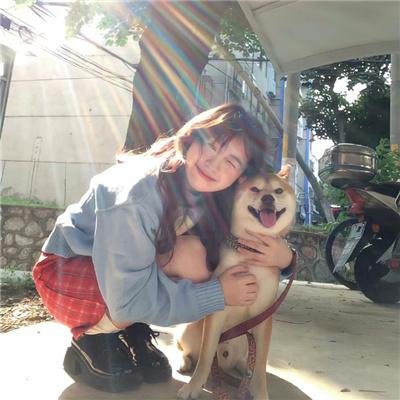 爱意随风起风止意难平