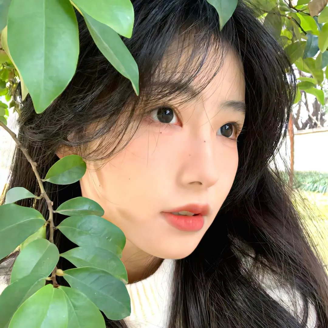 内衣战士蝴蝶玫瑰 New Season